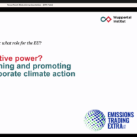 Corporate climate integrity: what role for the EU?